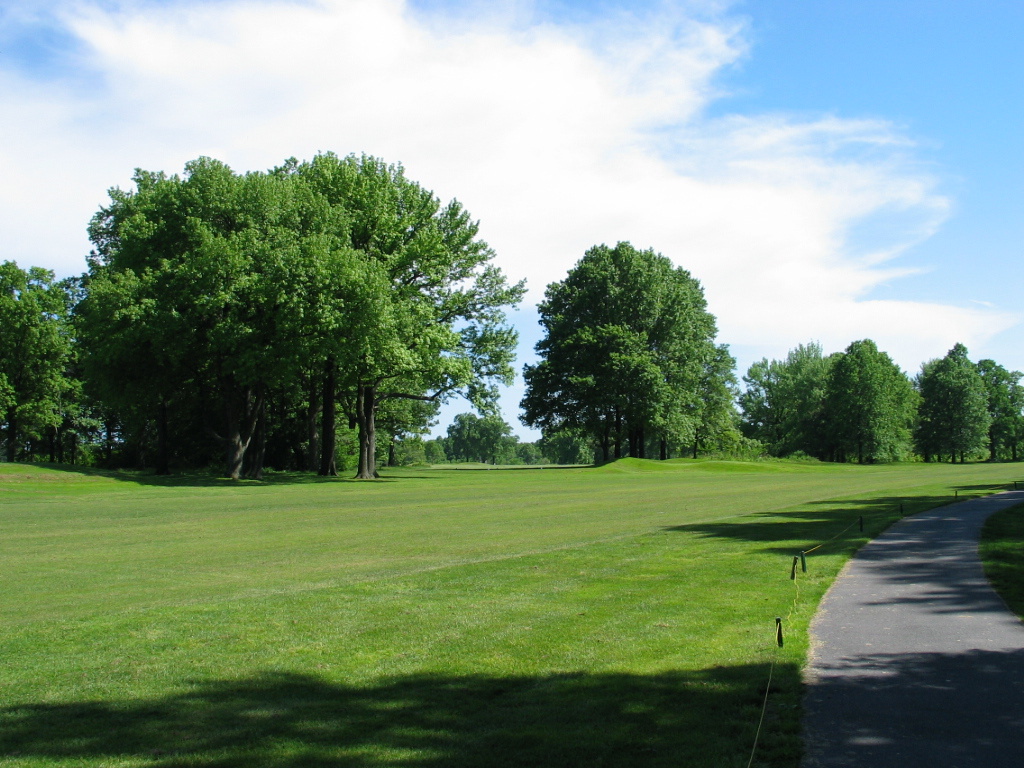 305-0536_IMG.JPG